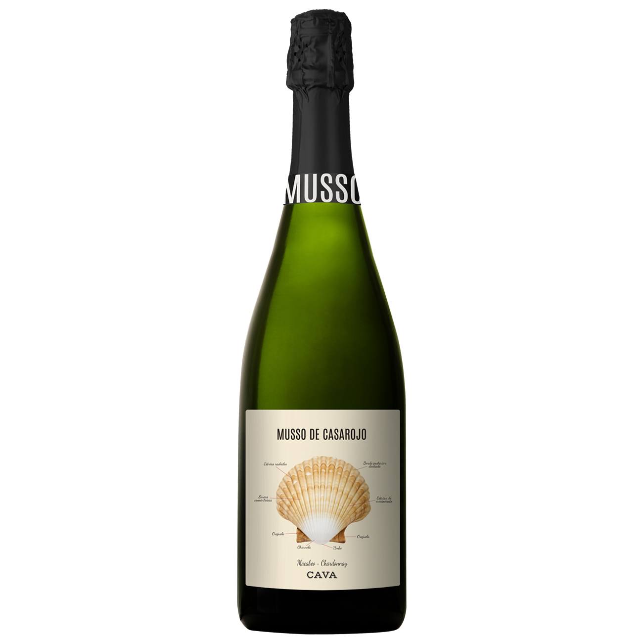 Musso Cava, Cava, Penedes, Macabeo, Chardonnay