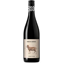 Musso Pinot Noir, Rött vin, Castilla & Leon, Pinot Noir